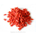 Jiangnanhao goji berry ningxai goji goji seco com bom preço